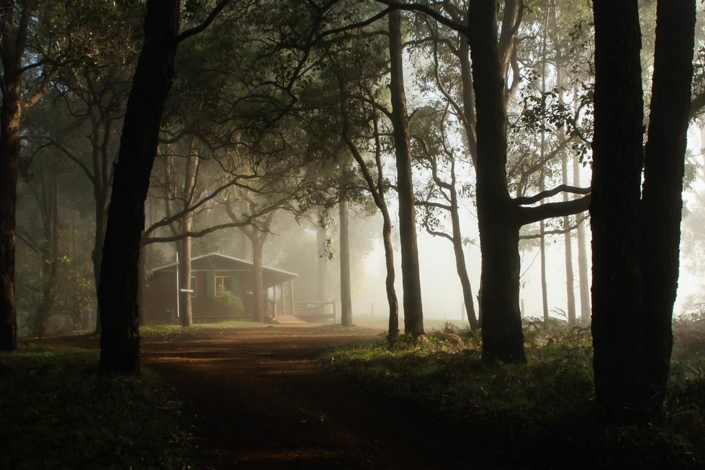 Balingup Heights Hilltop Forest Cottages Ngoại thất bức ảnh