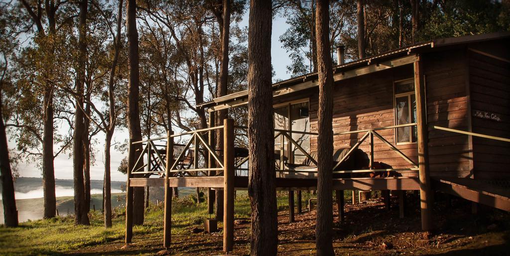 Balingup Heights Hilltop Forest Cottages Phòng bức ảnh