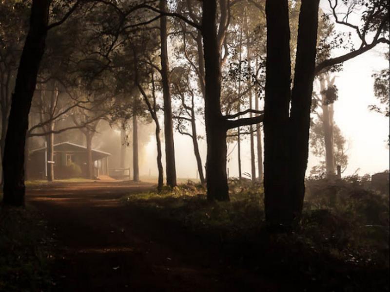 Balingup Heights Hilltop Forest Cottages Ngoại thất bức ảnh