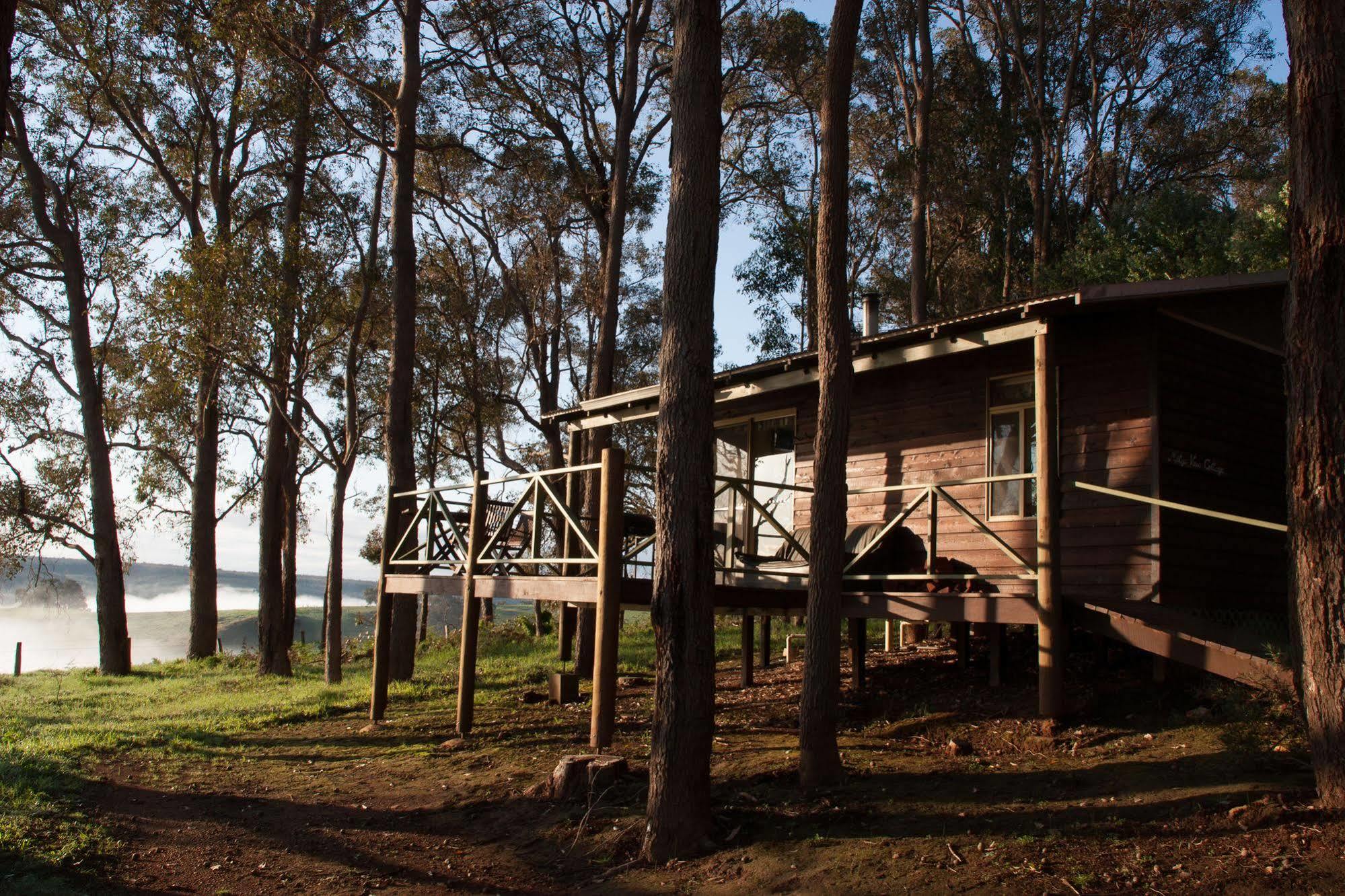 Balingup Heights Hilltop Forest Cottages Ngoại thất bức ảnh